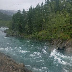 Meet your Posher, Ireen